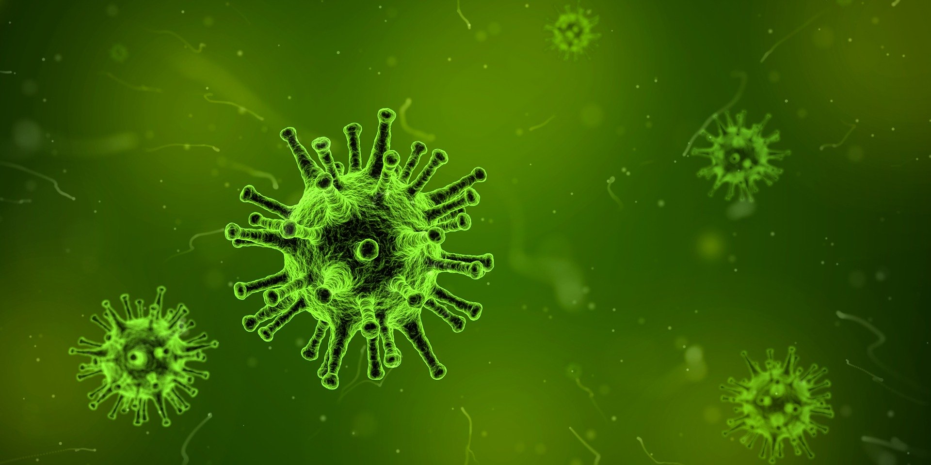 Image montrant un virus grossit au microscope.